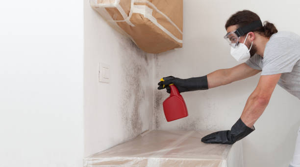 Professional Crawl Space Mold Remediation technician working in Lucama, NC