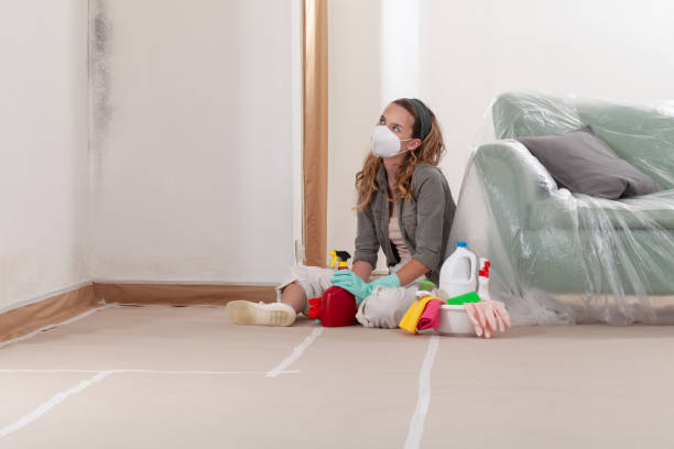 Reliable Crawl Space Mold Remediation contractor in Lucama, NC by 24 Hour Mold Removal